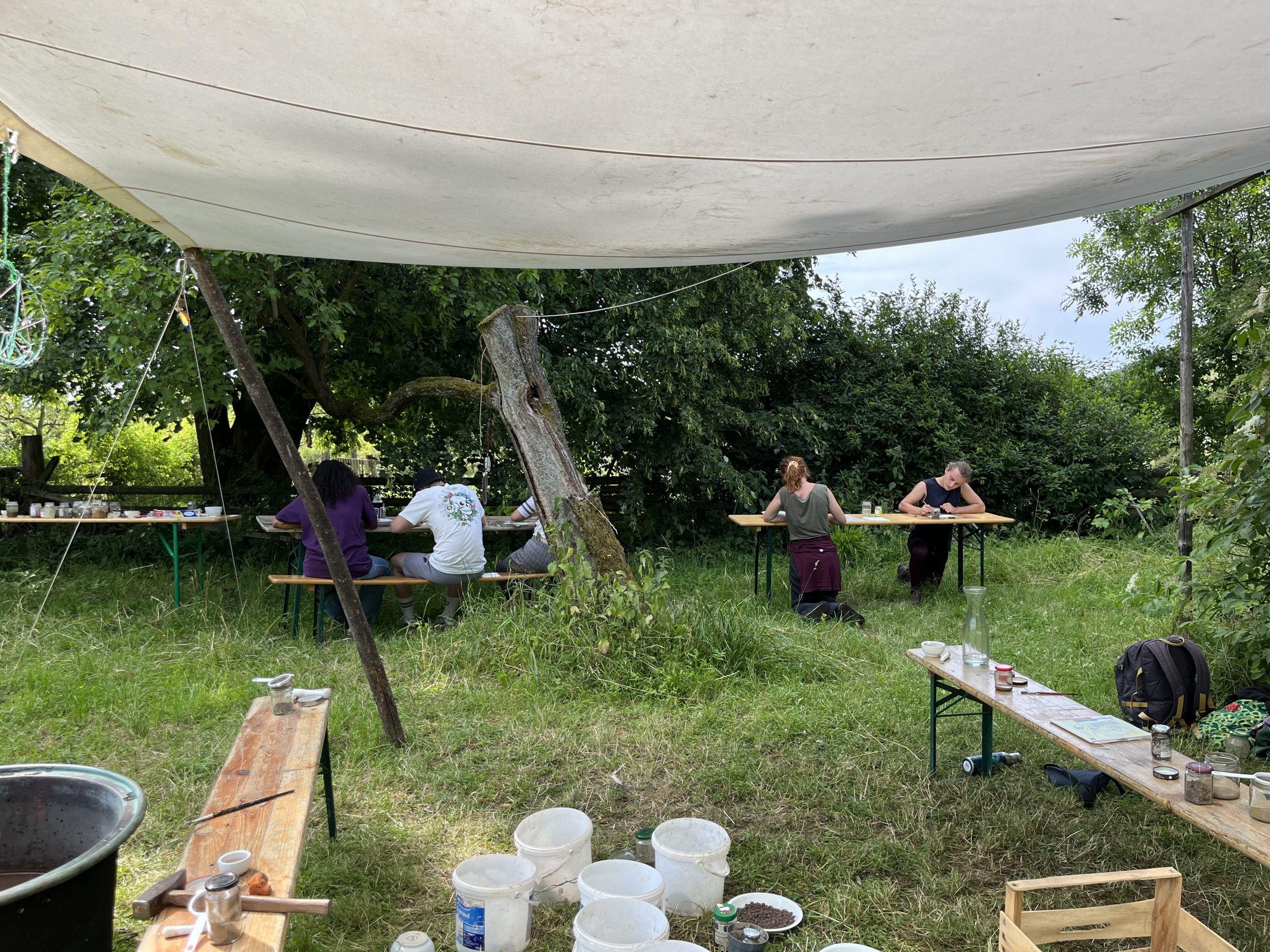 Grünes Klassenzimmer